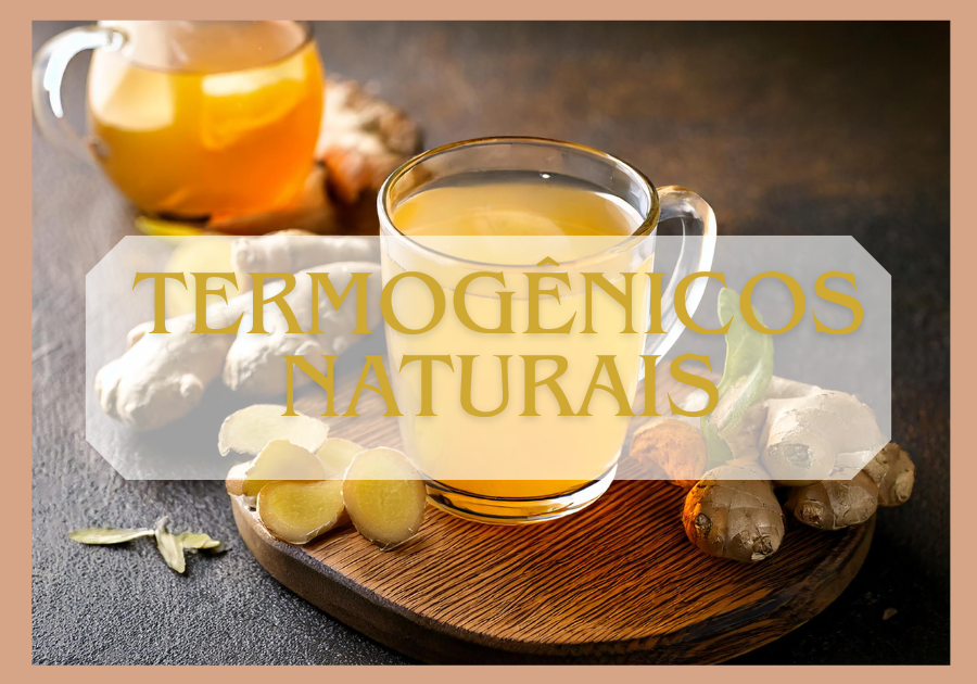 termogênicos naturais